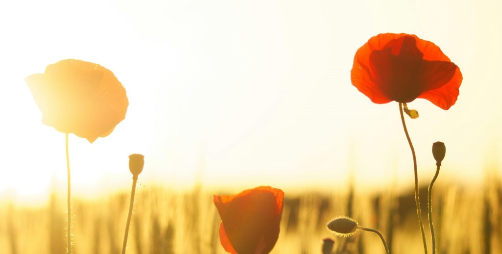 An Interview With Bauder on My Father’s Name is&nbsp;War